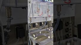 PhysioCell: A Cutting-Edge In-Vitro Model for Simulating Gastrointestinal Drug Dissolution Video